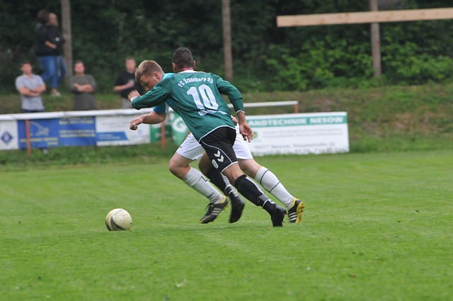 战胜利兹联 战胜利兹联