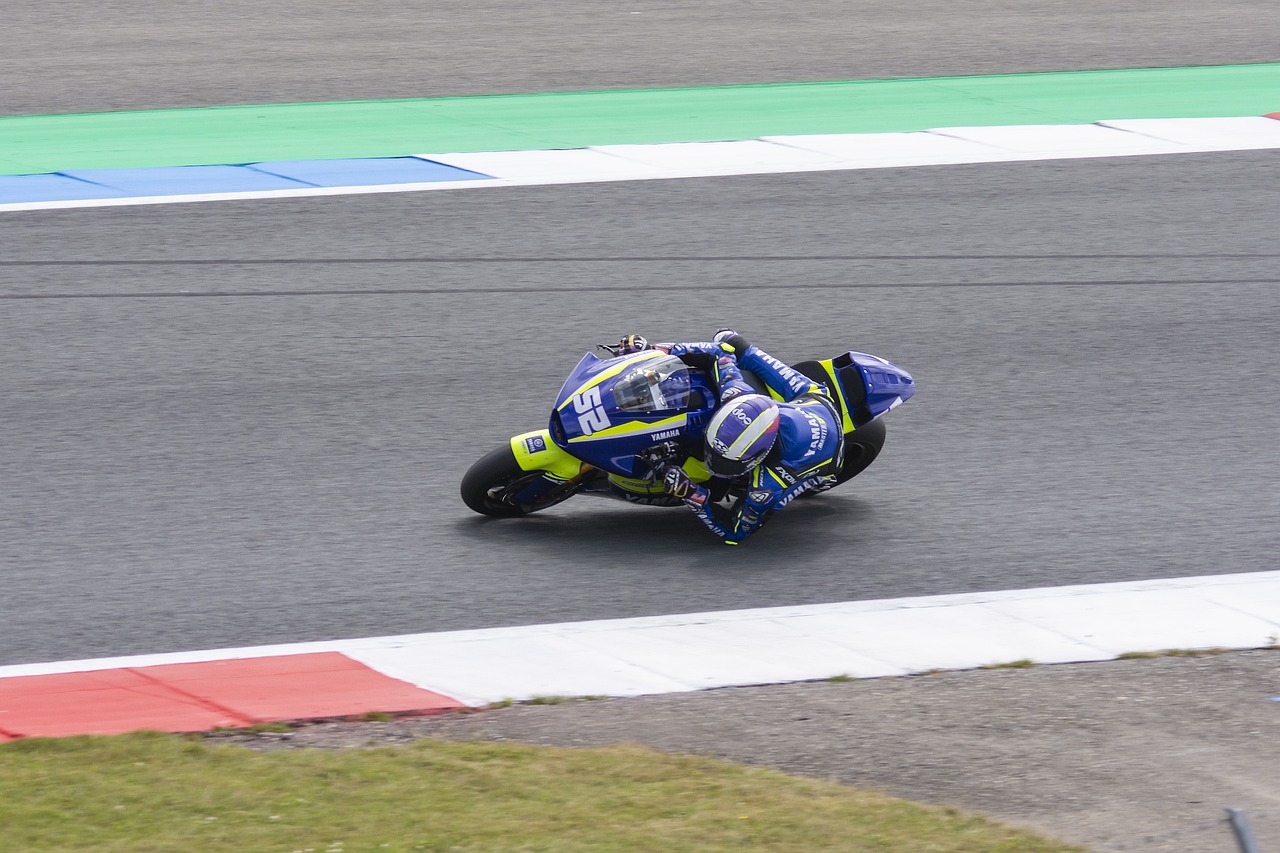 闪耀与众星 闪耀与众星