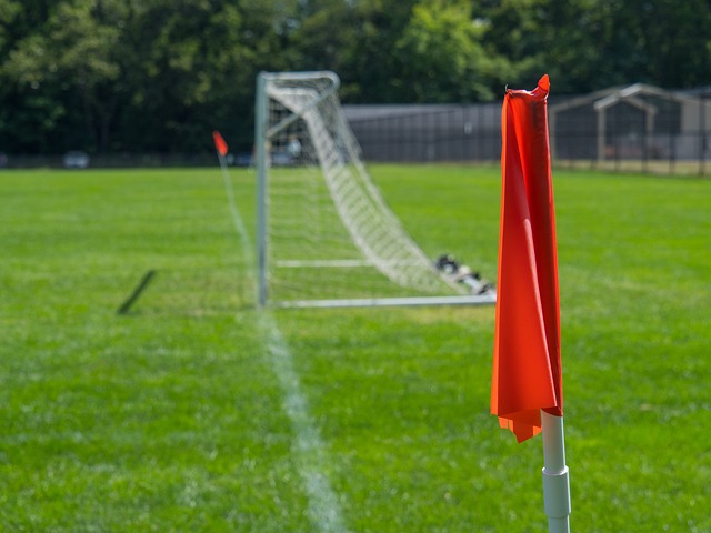 几年中逐渐 几年中逐渐