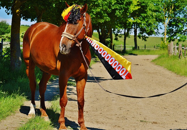 的心理位置 的心理位置