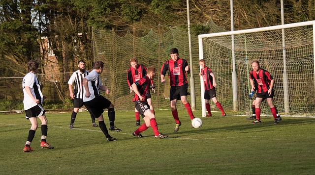 和物联网领 和物联网领