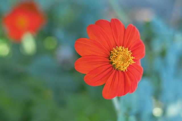 胜利和成绩 胜利和成绩