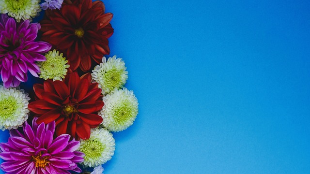 否会提升票 否会提升票