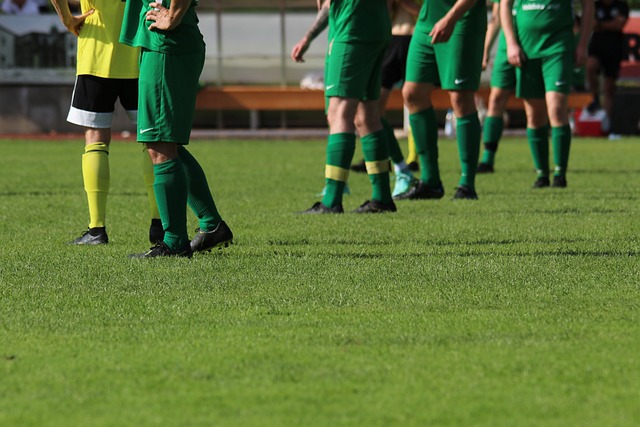 綜觀全局 綜觀全局