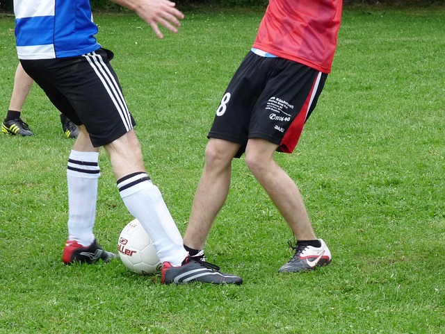 熊是对自身 熊是对自身