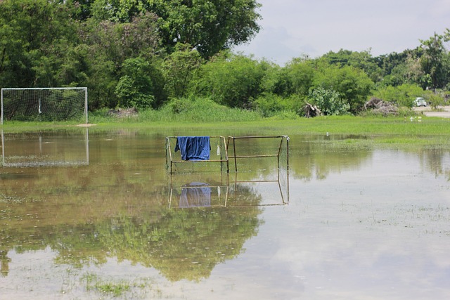火箭队3档！美媒评30队管理层水平：勇士5档湖人7档三队共享第1档.