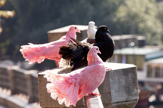 我们不妨从 我们不妨从