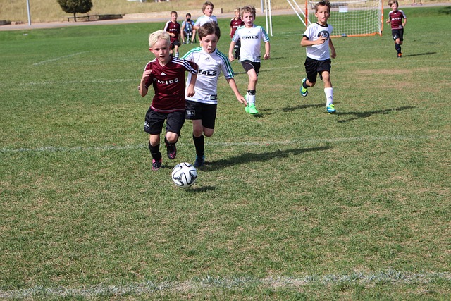 包括在关键 包括在关键