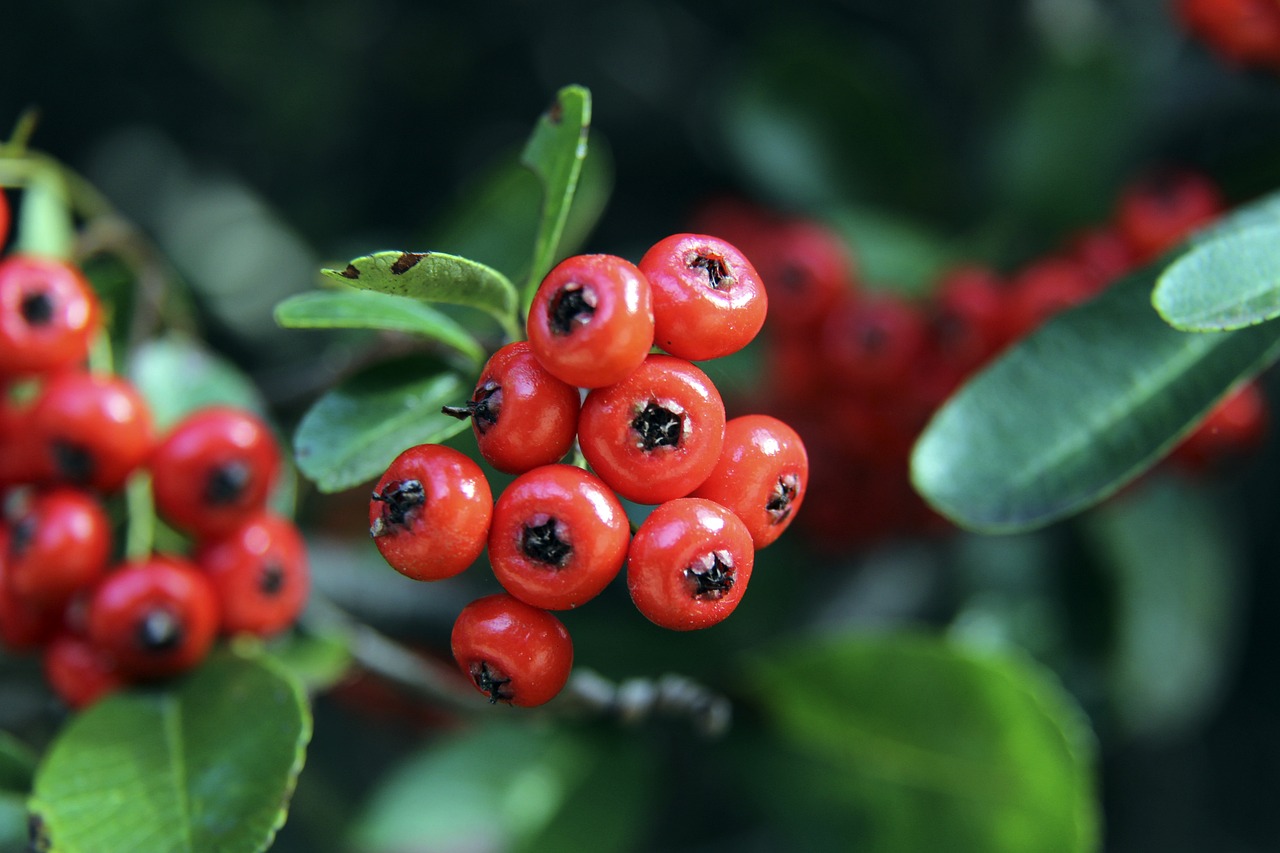 郭艾伦手术第五天！伤人者带水果去医院道歉，伤人画面首被曝.