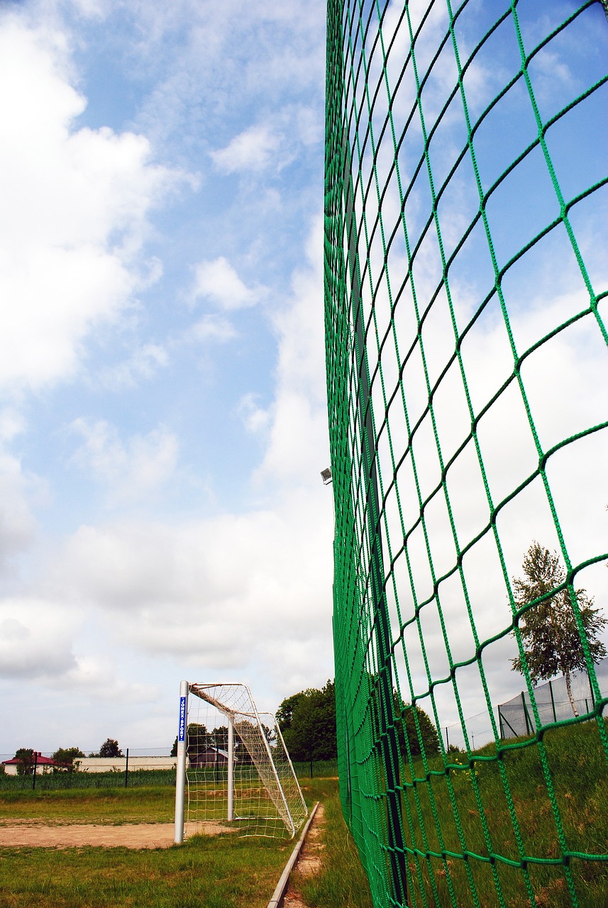 成负面影响 成负面影响