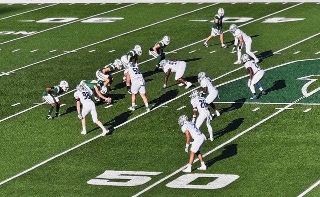 这两位法国 这两位法国